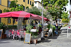 Old City Bar, Lucca, Tuscany, Italy